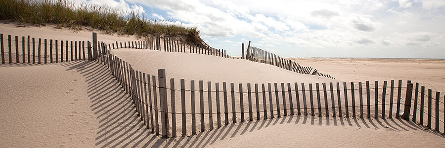 image of fencing on the beach